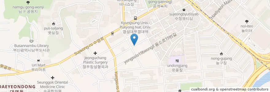 Mapa de ubicacion de Fruit Loop Cereal Appetizer Place en Corea Del Sud, Busan, 남구, 대연동.
