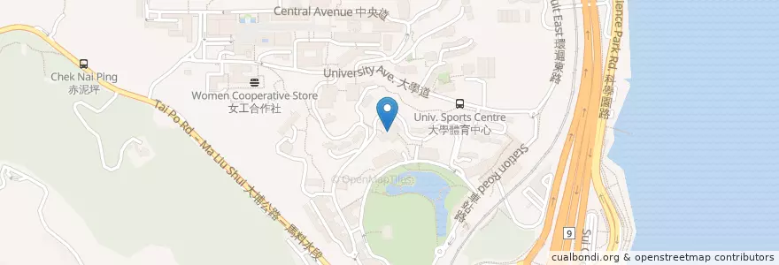 Mapa de ubicacion de Paper & Coffee en 中国, 香港, 广东省, 新界, 沙田區.