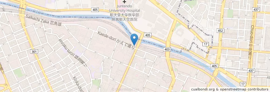 Mapa de ubicacion de 神田警察署お茶の水交番 en Japan, Tokio, 千代田区.