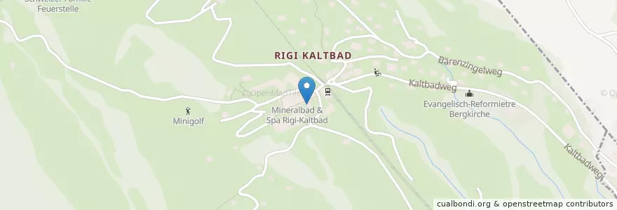 Mapa de ubicacion de Mineralbad & Spa Rigi Kaltbad en Svizzera, Lucerna, Weggis.
