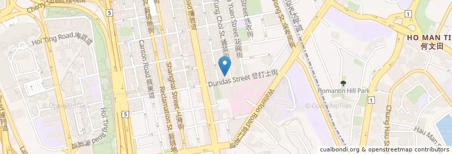 Mapa de ubicacion de 阿爺粥膳八鮮鍋 en China, Guangdong, Hong Kong, Kowloon, Wilayah Baru, 油尖旺區 Yau Tsim Mong District.