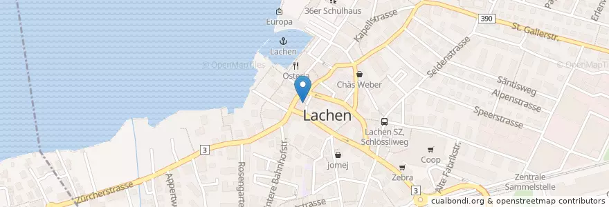 Mapa de ubicacion de Meduza en Schweiz/Suisse/Svizzera/Svizra, Schwyz, March, Lachen.