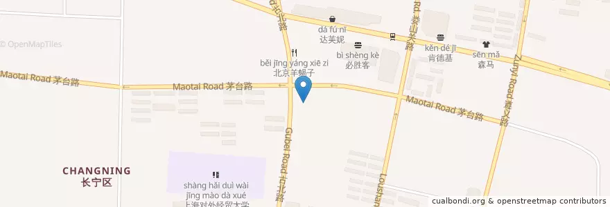 Mapa de ubicacion de Elegance en Chine, Shanghai, District De Changning.
