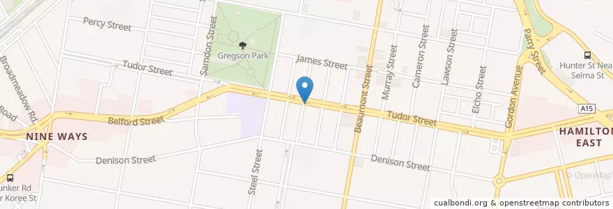 Mapa de ubicacion de Hamilton R.S.L Club en Australia, New South Wales, Newcastle City Council, Newcastle-Maitland.