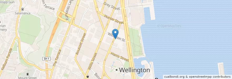 Mapa de ubicacion de The Green Man en Yeni Zelanda, Wellington, Wellington City.