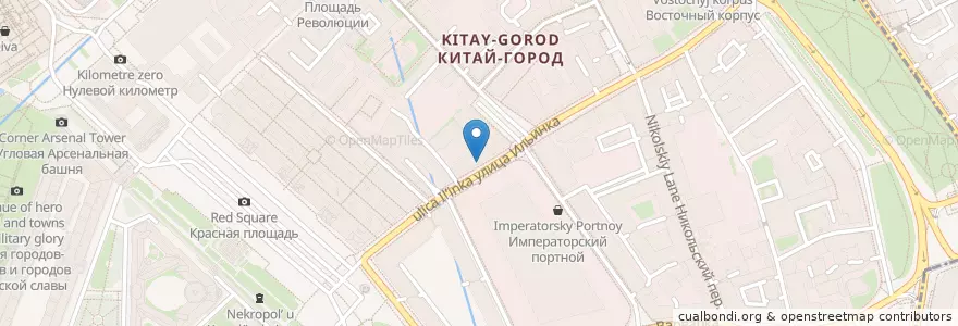 Mapa de ubicacion de Taste en Rússia, Distrito Federal Central, Москва, Центральный Административный Округ, Тверской Район.