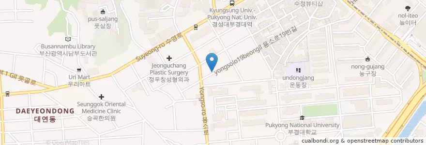 Mapa de ubicacion de 롤뺑드빠리 en Güney Kore, Busan, 남구, 대연동.