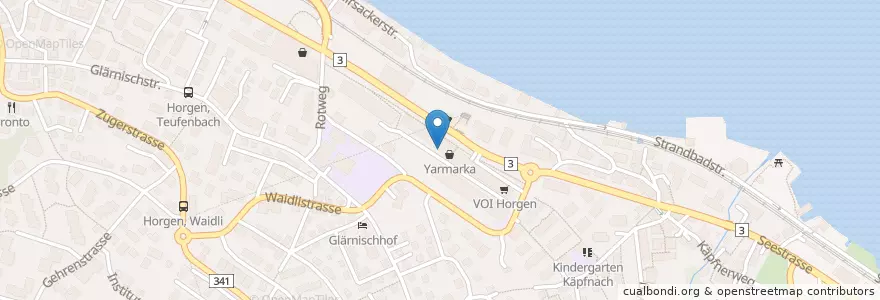 Mapa de ubicacion de Lermzentrum Turner en Zwitserland, Zürich, Bezirk Horgen, Horgen.