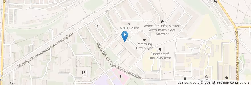 Mapa de ubicacion de DoubleDog en Rusya Federasyonu, Сибирский Федеральный Округ, Novosibirsk Oblastı, Городской Округ Новосибирск.