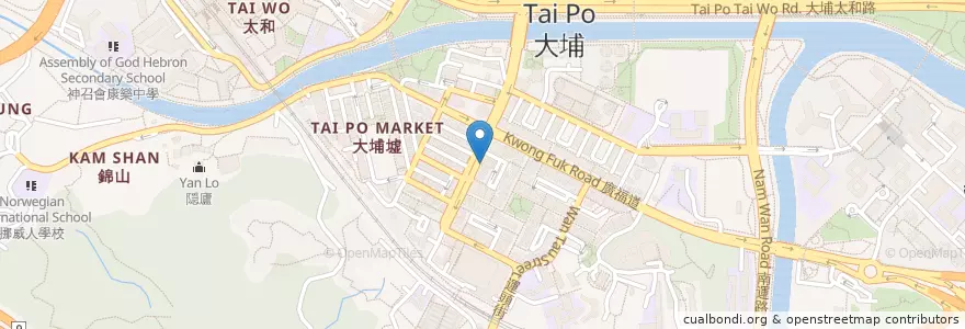 Mapa de ubicacion de 星展銀行 en China, Hong Kong, Provincia De Cantón, Nuevos Territorios, 大埔區 Tai Po District.