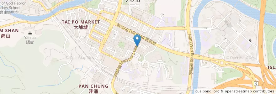 Mapa de ubicacion de 新東江雞飯店 en 中国, 香港, 広東省, 新界, 大埔區 Tai Po District.