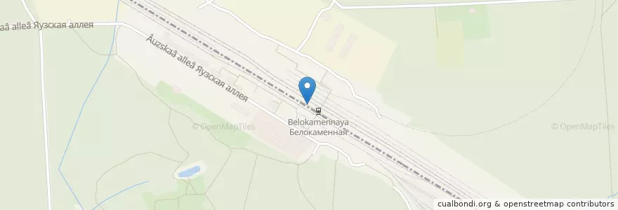 Mapa de ubicacion de ВкусВилл en Россия, Центральный Федеральный Округ, Москва, Восточный Административный Округ, Район Метрогородок.