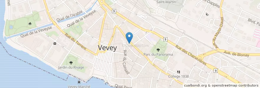 Mapa de ubicacion de Non-Stop en Suíça, Vaud, Vevey.