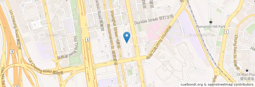 Mapa de ubicacion de 翠华集团 en China, Guangdong, Hongkong, Kowloon, New Territories, 油尖旺區 Yau Tsim Mong District.