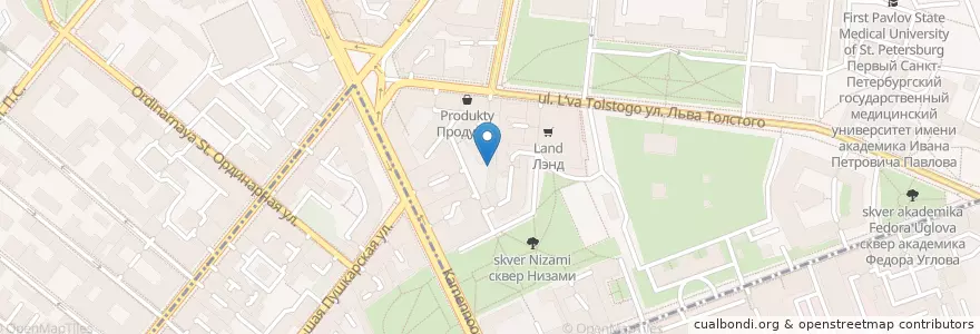 Mapa de ubicacion de Белая черепаха en Russia, Northwestern Federal District, Leningrad Oblast, Saint Petersburg, Petrogradsky District.