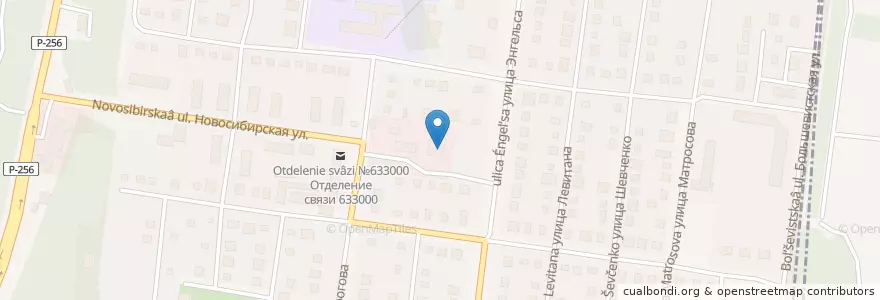 Mapa de ubicacion de Моя аптека en ロシア, シベリア連邦管区, ノヴォシビルスク州, ノヴォシビルスク管区.
