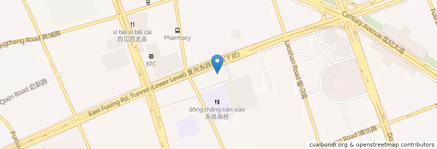 Mapa de ubicacion de 海底捞火锅 en Chine, Shanghai, District De Pudong.