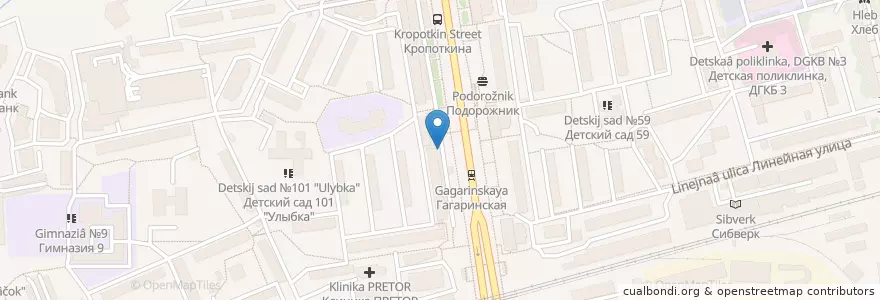 Mapa de ubicacion de Библиотека им. М.Е. Салтыкова-Щедрина en Russia, Siberian Federal District, Novosibirsk Oblast, Novosibirsk.