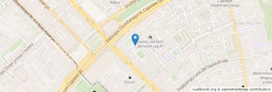 Mapa de ubicacion de Палиса en Rusland, Centraal Federaal District, Moskou, Центральный Административный Округ, Тверской Район.