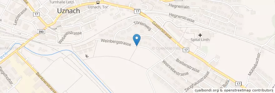 Mapa de ubicacion de Robidog en Suíça, Sankt Gallen, Wahlkreis See-Gaster, Uznach.