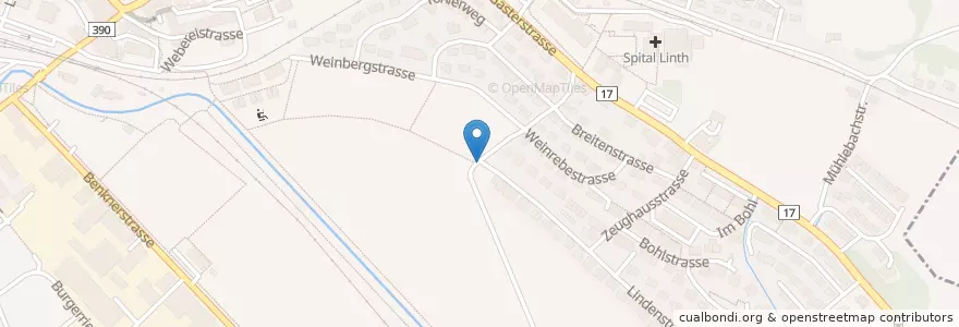 Mapa de ubicacion de Robidog en Schweiz/Suisse/Svizzera/Svizra, Sankt Gallen, Wahlkreis See-Gaster, Uznach.