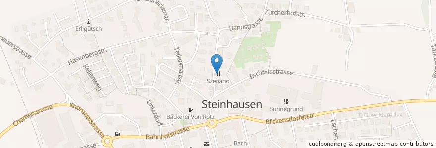 Mapa de ubicacion de Szenario en سويسرا, Zug, Steinhausen.