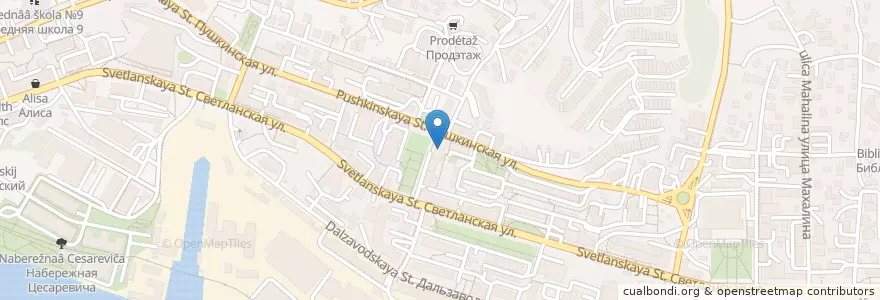 Mapa de ubicacion de Children's Doctor Hospital. Office REGENERATION treatment en Russia, Far Eastern Federal District, Primorsky Krai, Владивостокский Городской Округ.