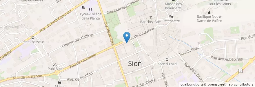 Mapa de ubicacion de Les Brasseurs Sion en 瑞士, Valais/Wallis, Sion, Sion.