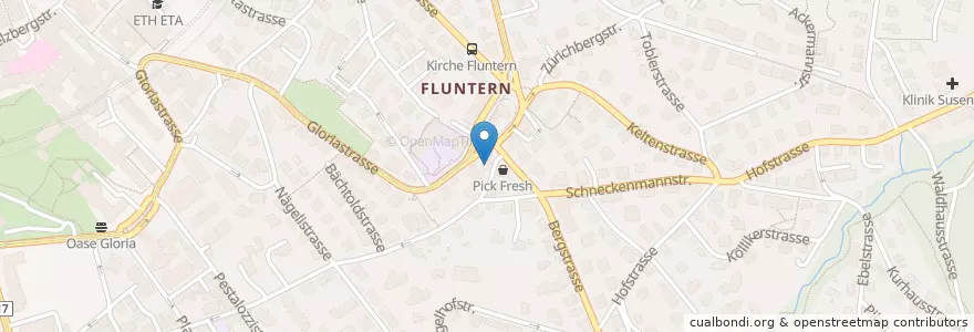 Mapa de ubicacion de Mittag-/Abendhort Fluntern 5 en Швейцария, Цюрих, Bezirk Zürich, Цюрих.