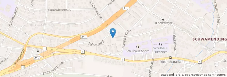 Mapa de ubicacion de Zürich Schwamendingen / Tulpenstrasse en Suisse, Zurich, District De Zurich, Zurich.