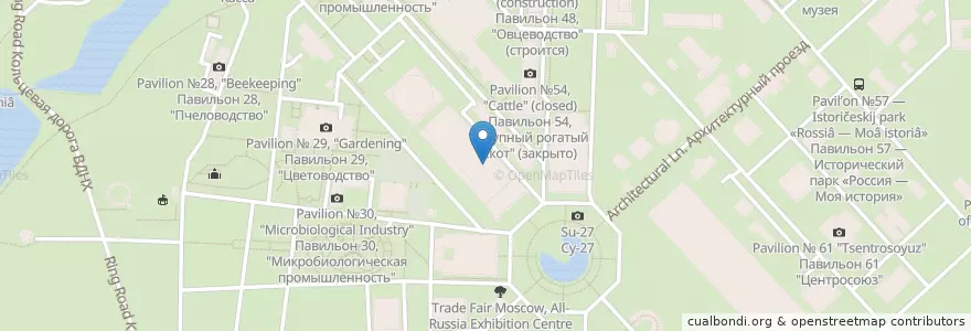 Mapa de ubicacion de Космос en Russia, Distretto Federale Centrale, Москва, Северо-Восточный Административный Округ, Останкинский Район.