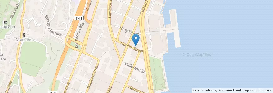 Mapa de ubicacion de MossCaff en New Zealand, Wellington, Wellington City.