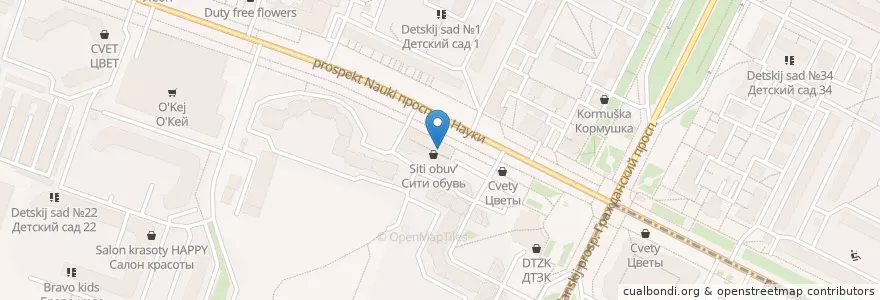 Mapa de ubicacion de Zenit en Russia, Northwestern Federal District, Leningrad Oblast, Saint Petersburg, Калининский Район, Округ Академическое.