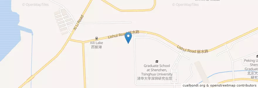 Mapa de ubicacion de 深圳大学城社康中心 en 中国, 广东省, 深圳市, 南山区, 桃园街道.