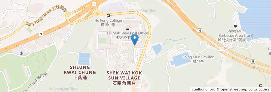 Mapa de ubicacion de 中國銀行(香港) Bank of China (Hong Kong) en China, Guangdong, Hongkong, New Territories, 荃灣區 Tsuen Wan District.