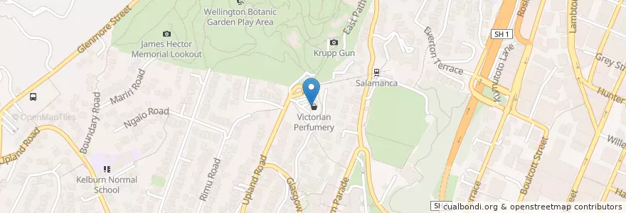 Mapa de ubicacion de Kelburn GPs en Новая Зеландия, Wellington, Wellington City.