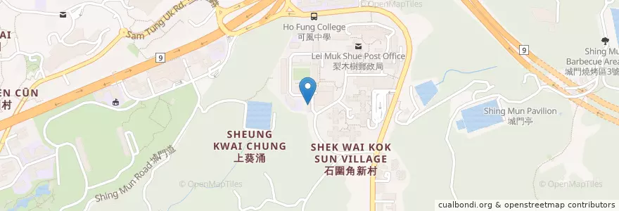 Mapa de ubicacion de 明愛梨木樹兒童成長發展中心 Caritas Lei Muk Shue Children Growth and Development Centre en China, Guangdong, Hong Kong, Wilayah Baru, 荃灣區 Tsuen Wan District.