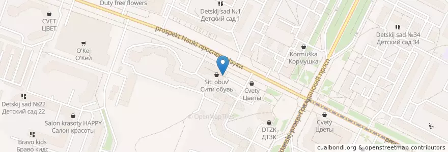 Mapa de ubicacion de Харбин en Russia, Northwestern Federal District, Leningrad Oblast, Saint Petersburg, Калининский Район, Округ Академическое.