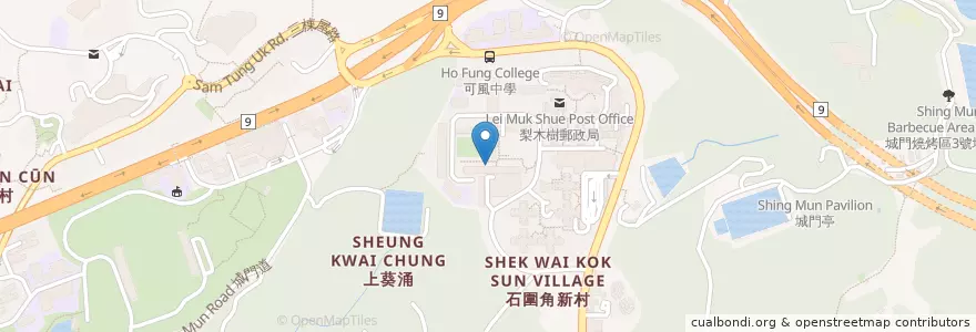 Mapa de ubicacion de 女西醫張月英 Dr. Cheung Yuet Ting, Christina en Китай, Гуандун, Гонконг, Новые Территории, 荃灣區 Tsuen Wan District.