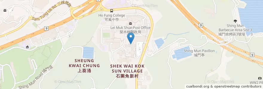Mapa de ubicacion de Castar Kindergarten (Lei Muk Shue) en China, Guangdong, Hong Kong, New Territories, Tsuen Wan District.