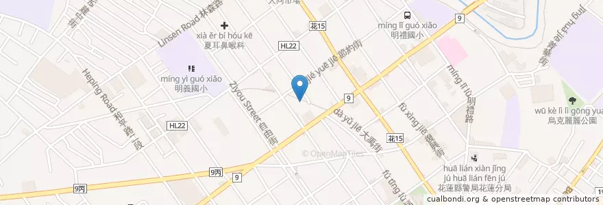Mapa de ubicacion de Oz Saloon en 台湾, 台湾省, 花蓮県, 花蓮市.
