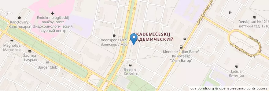 Mapa de ubicacion de 69 пинт en Россия, Центральный Федеральный Округ, Москва, Юго-Западный Административный Округ, Академический Район.