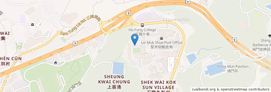 Mapa de ubicacion de 香港防止虐待長者協會 The Against Elderly Abuse of Hong Kong en Chine, Guangdong, Hong Kong, Nouveaux Territoires, 荃灣區 Tsuen Wan District.