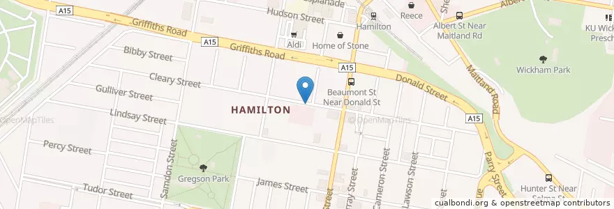 Mapa de ubicacion de Olive Branch Cafe en Avustralya, New South Wales, Newcastle City Council, Newcastle-Maitland.