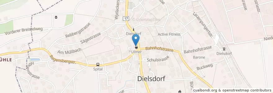 Mapa de ubicacion de Dieli en 스위스, 취리히, Bezirk Dielsdorf.