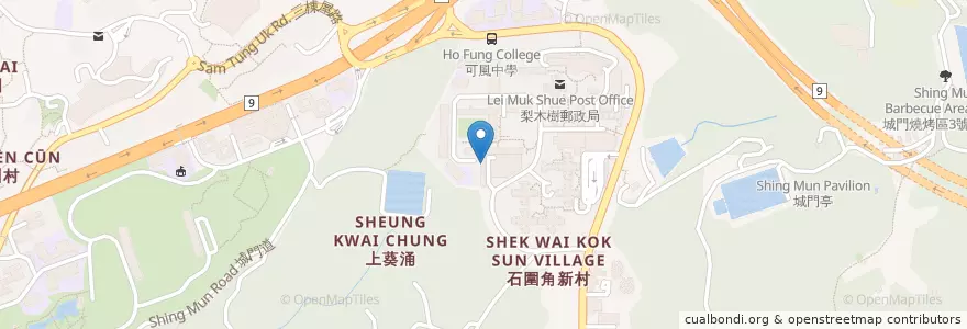 Mapa de ubicacion de 梨木樹浸信會閱覽室 Lei Muk Shue Baptist Church Study Centre en Chine, Guangdong, Hong Kong, Nouveaux Territoires, 荃灣區 Tsuen Wan District.