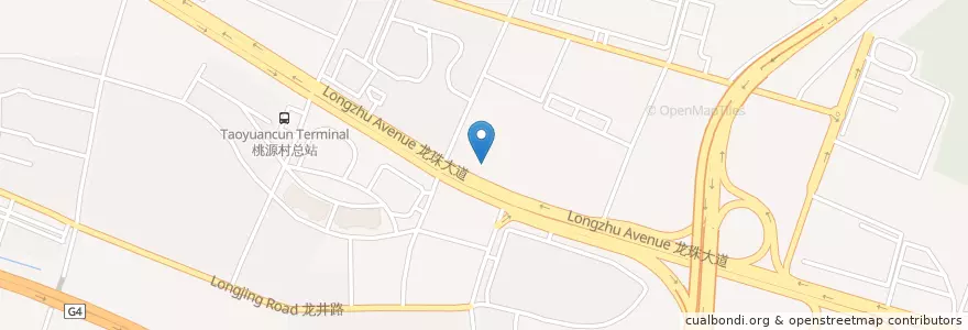 Mapa de ubicacion de 佳佳善鮮牛肉館 en 中国, 广东省, 深圳市, 南山区, 桃园街道.