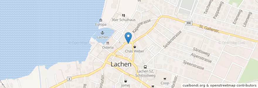 Mapa de ubicacion de Rico's Fahrschule GmbH en Zwitserland, Schwyz, March, Lachen.