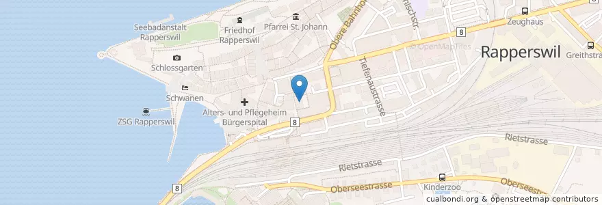 Mapa de ubicacion de Zahnarztpraxis Dr. Martin en Schweiz/Suisse/Svizzera/Svizra, Sankt Gallen, Wahlkreis See-Gaster, Rapperswil-Jona.