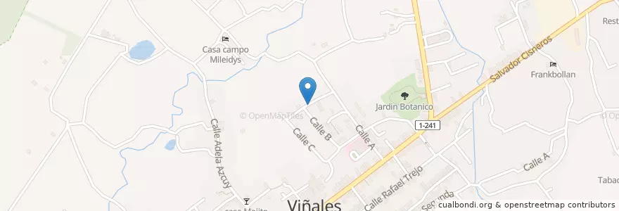 Mapa de ubicacion de Casa Nenita en Cuba, Pinar Del Río, Viñales.